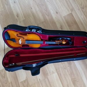 Violin with case